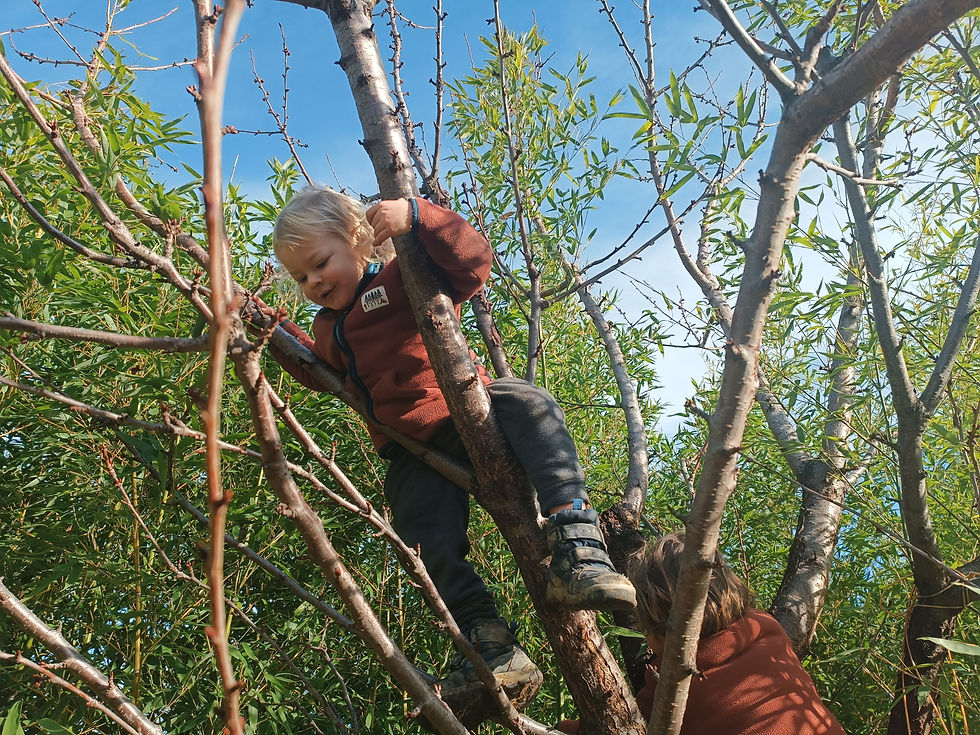 Overcoming fears