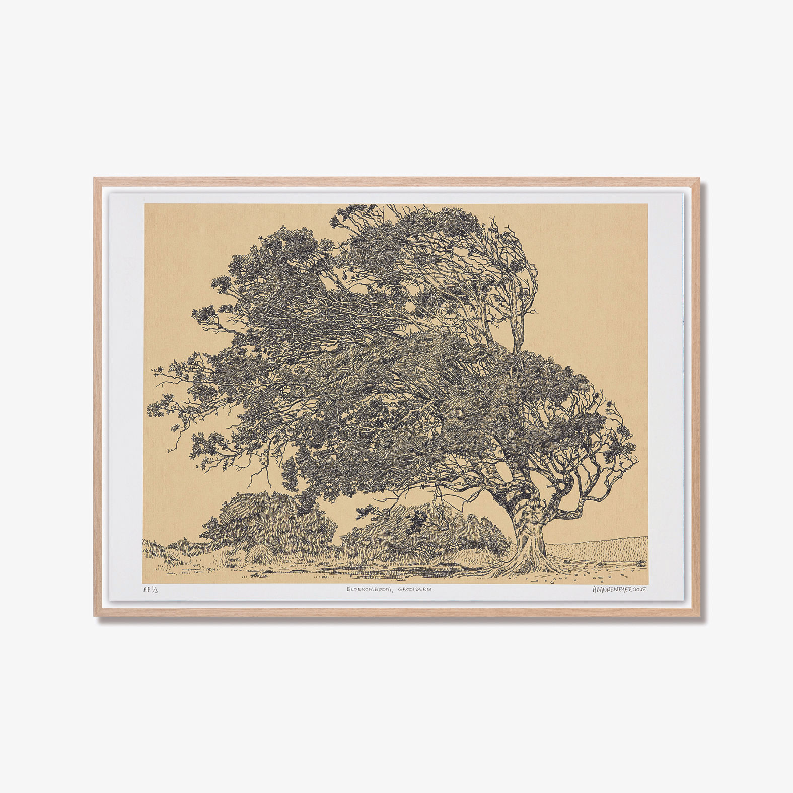 Anton Kannemeyer 'Bloekomboom'