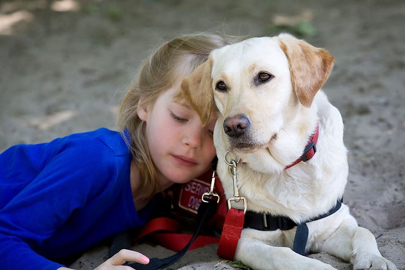 girlandservicedog.jpg