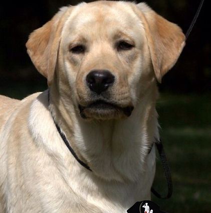 eZy Watermark_30-07-2025_01-42-30PM.JPG