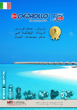 MET-Pedrollo-Flyer.jpg