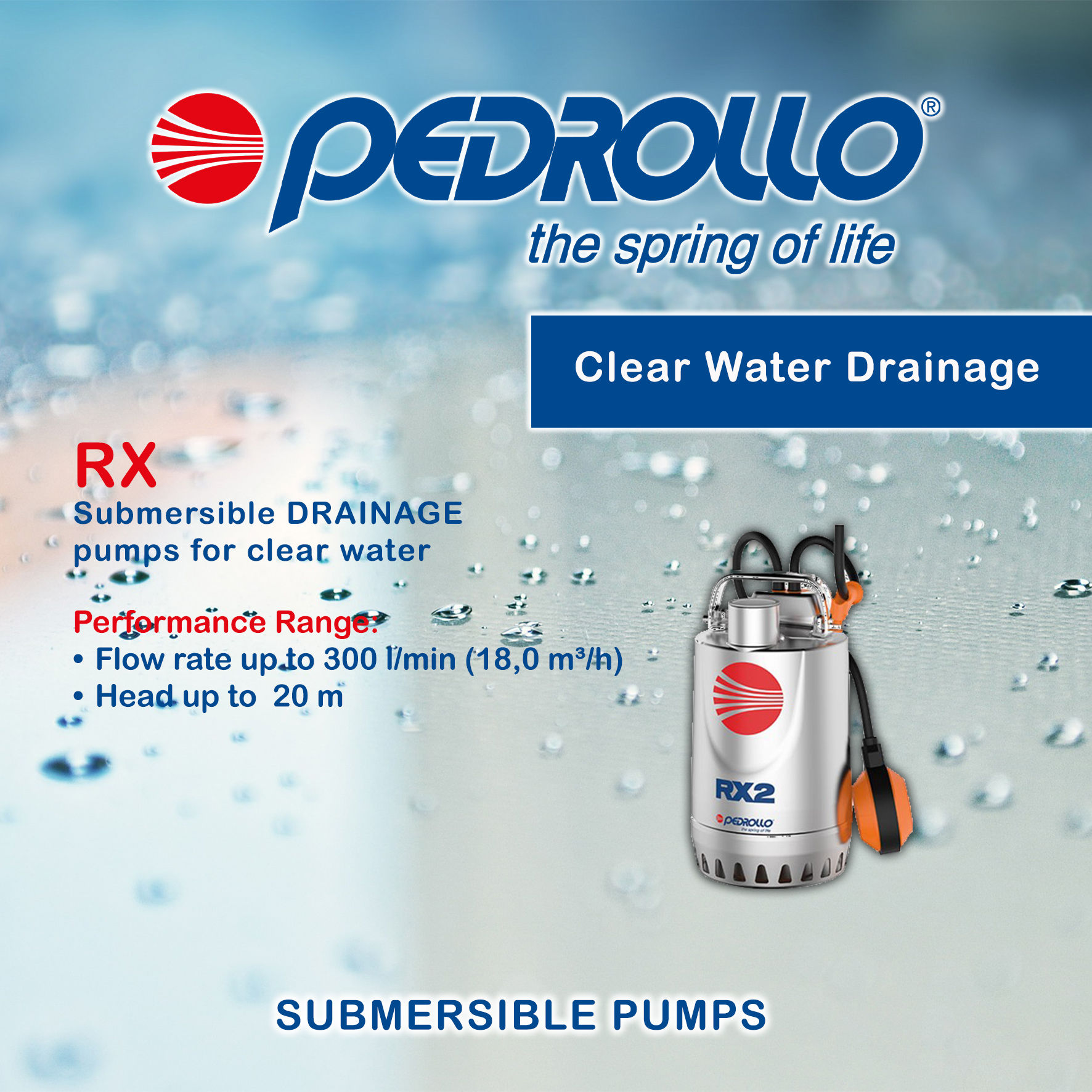 RXm3-SS 304- 1.25" | 0.75 HP - طلمبة غاطسة 1 فاز 0.75 حصان إستانلس