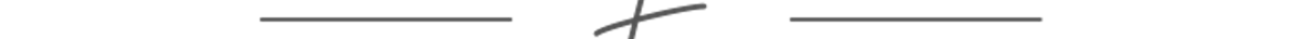 FWE SHOP.png