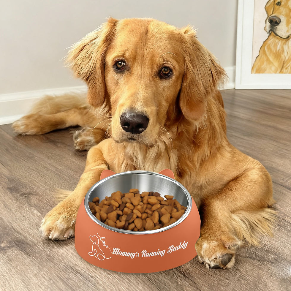 Thumbnail: Mommy's Running Buddy Dog Bowl Orange