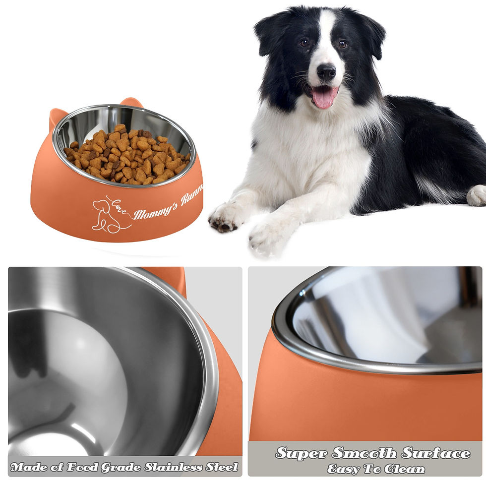 Thumbnail: Mommy's Running Buddy Dog Bowl Orange