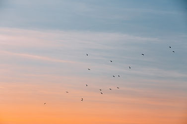 leonard-von-bibra-UQaht0LBiYc-unsplash.j