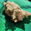 Thumbnail: Chlorite Included Quartz Crystal Cluster