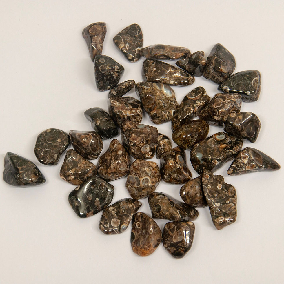 Agate, Turitella