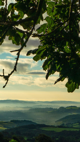 Growing a New Kind of School: 