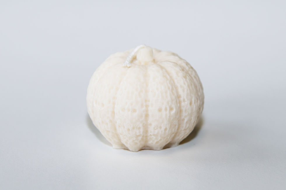 Miniaturbild: Kürbiskerzen