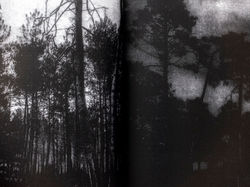 BIOTOPE Artist book Elie Monferier-15