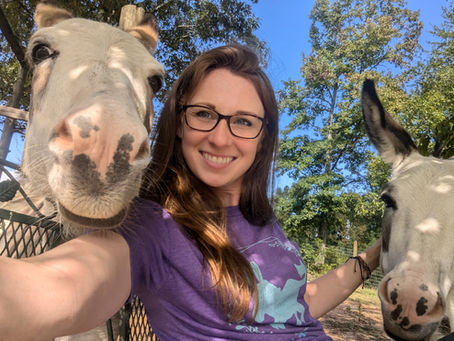 Stable Situations: Misty Acres York