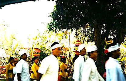  Funeral Rituals, Sulawesi, Indonesia