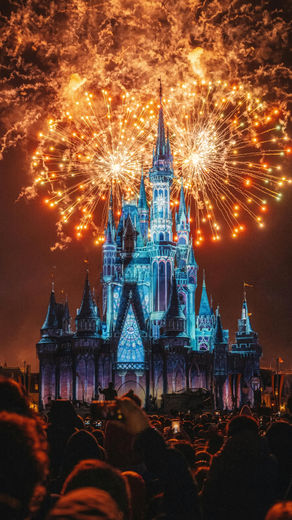 Image of the Disney World Castle With Fireworks