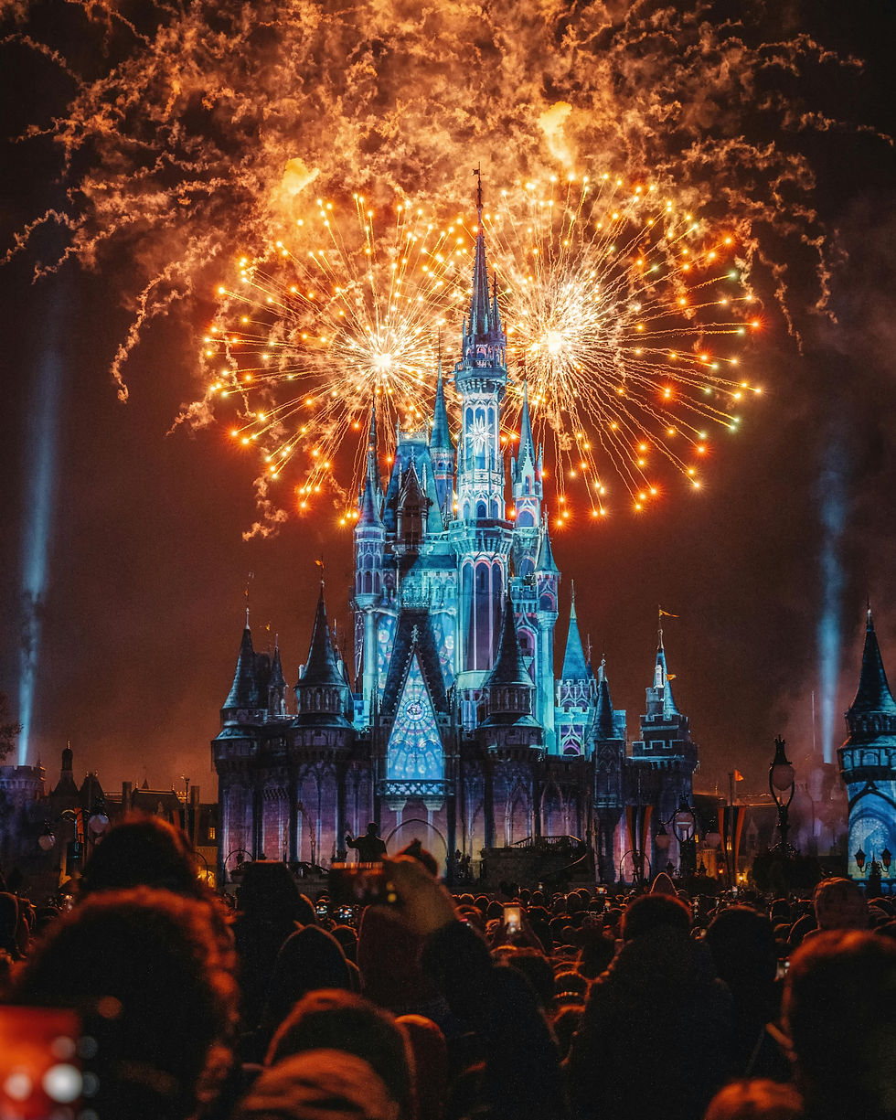 Image of the Disney World Castle With Fireworks