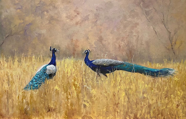 Encounter | Oil