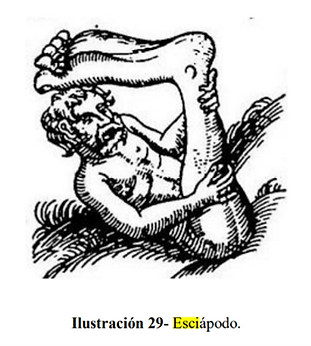Imagen3.png