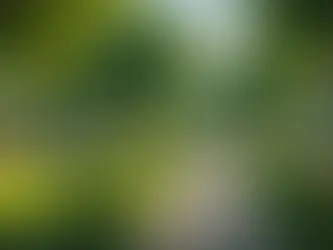 Exploring the Next Frontier: A Look at Emerging Social Media Platforms