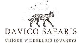 Davico Safaris's logo
