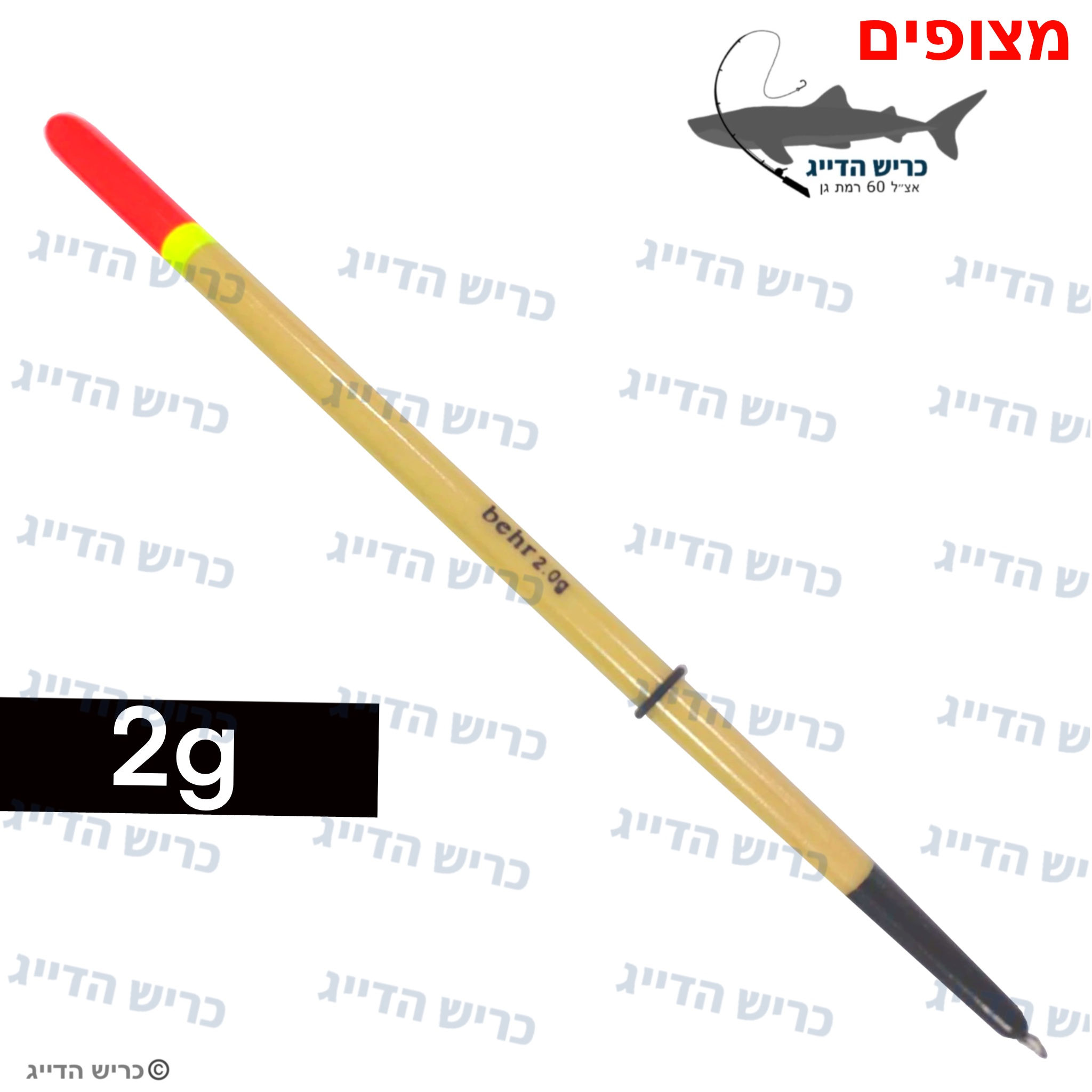 מצוף דיג 2 גרם 