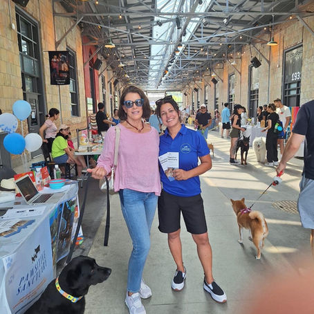 A Heartwarming Day at Doggie Fest Toronto