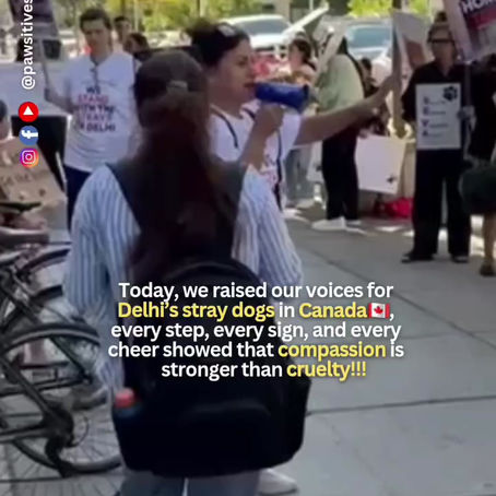 Standing Up for India’s Street Dogs: Toronto Joins the Global Rally