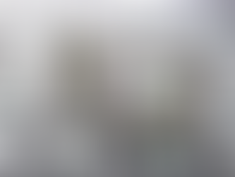 灣區億萬富豪數量全世界最多 這些地方「含金量」最高 *北美富豪家族投資方式改變 轉抱「私募資產」