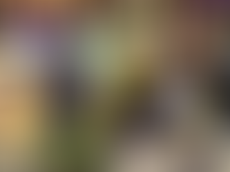 住百萬豪宅? 2華女偷包裹被捕 警方出動無人機鎖定 一舉逮獲