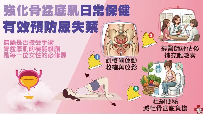 專家建議女性都應該練習凱格爾運動，訓練肌群。（振興醫院提供）