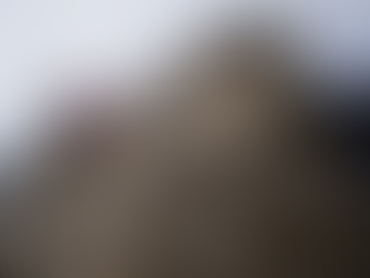 美國國稅局嚴查…副業收入微薄也要申報 當心小錢惹來大麻煩