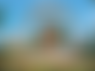 人间福报:*星云大师纪念公园揭碑 灯灯相续 *【星云说喻】谁比较脏 *北卡佛光山「佛心禅艺」开幕 禅绕画传递宁静智慧