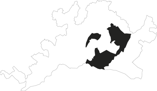 lausanne communes.png