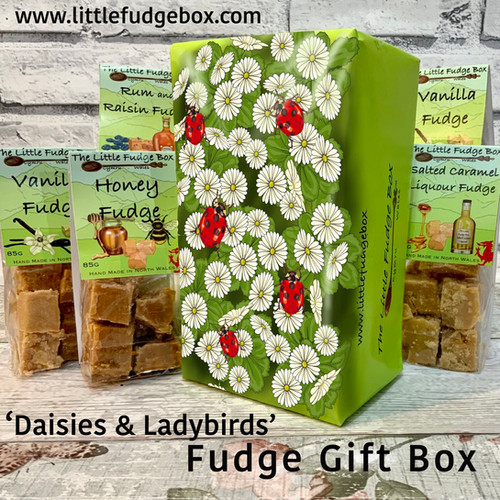 Fudge Gift Box Daisies Ladybirds Welsh crumbly luxury thelittle