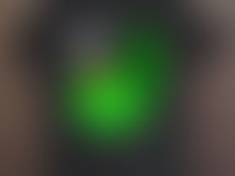 Pine Knob Music Theater T Shirt