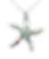Starfish Pendant set with Abalone