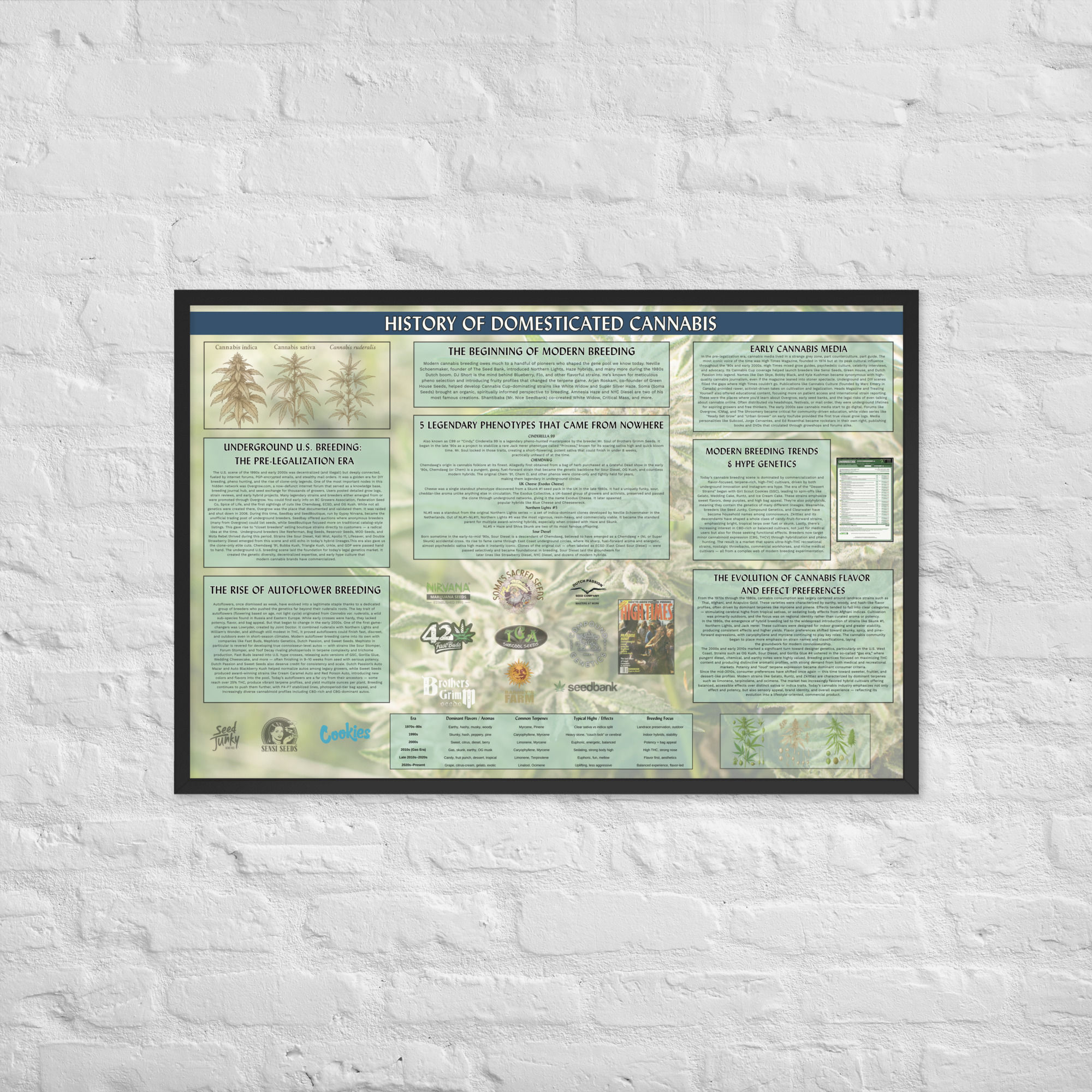 History of Domesticated Cannabis Poster (Framed)