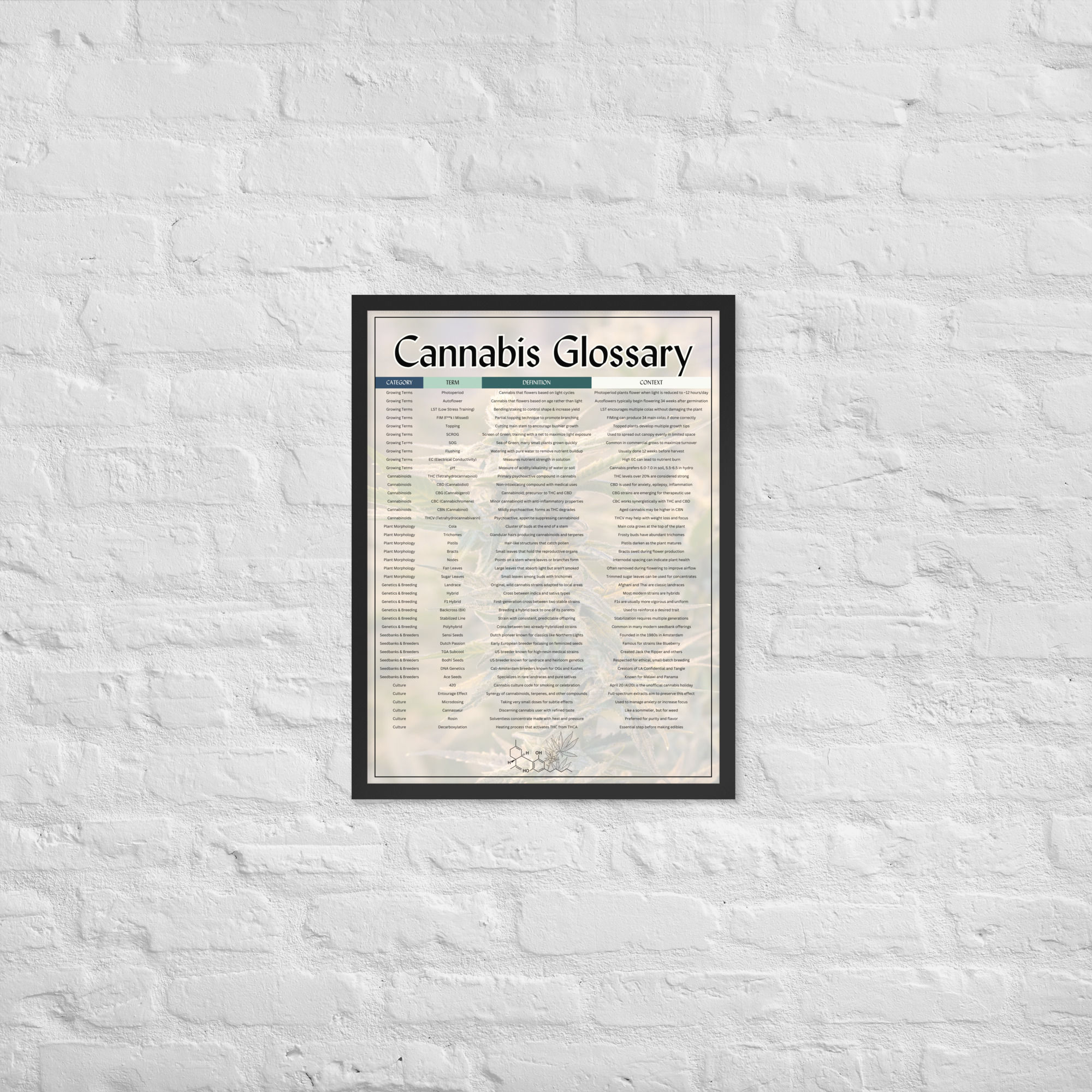Cannabis Glossary Poster (Framed) - 18" x 24"