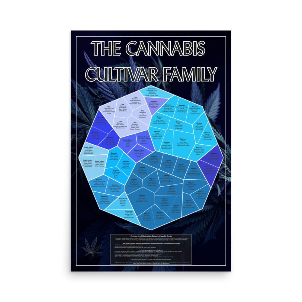 The Cannabis Cultivar Family Poster (Black) - 24" x 36"