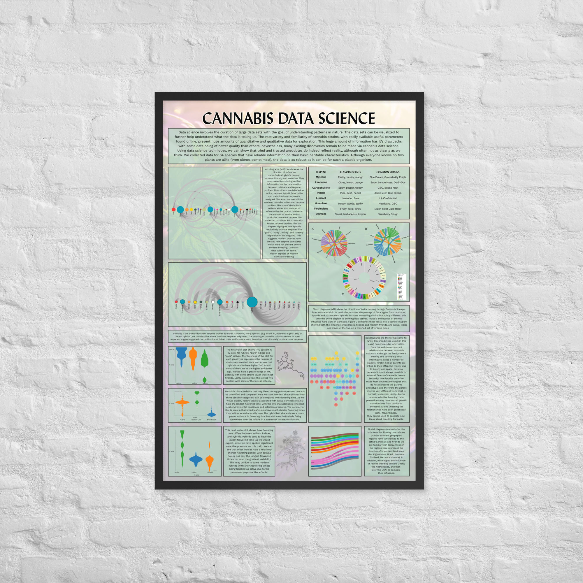 Cannabis Data Science Poster (Framed) - 24" x 36"