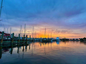 Sailboats safe in a marina
