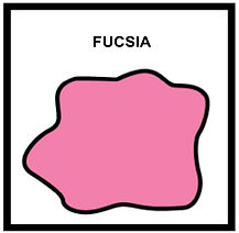 FUCSIA.jpeg