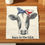 Thumbnail: Cow with a patriotic bandana