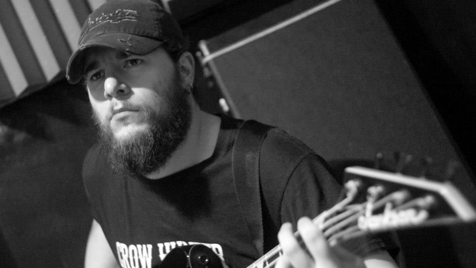 David Hall - Cinematogapher