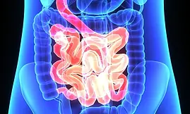 gastro.jpg