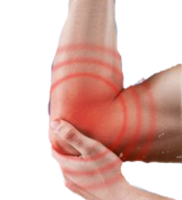 shutterstock_573747265-copy-190x300_edited_edited.png