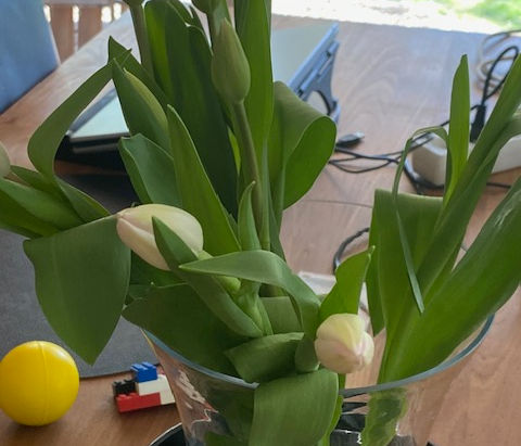Jezelf de toestemming geven om te mogen ontvouwen