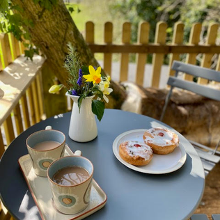 Our Latest Addition...