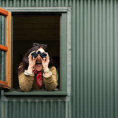 Bird spotting through the window of a shepherds hut in eyam the peak district Thehuteyam