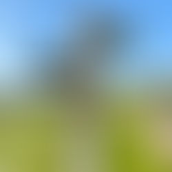 Peak District sign post for walks & adventures