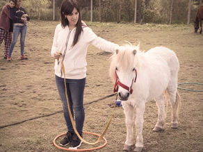 ¿Cómo se desarrolla una sesión de coaching con caballos?